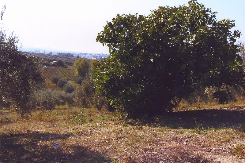 Outside10010.JPG